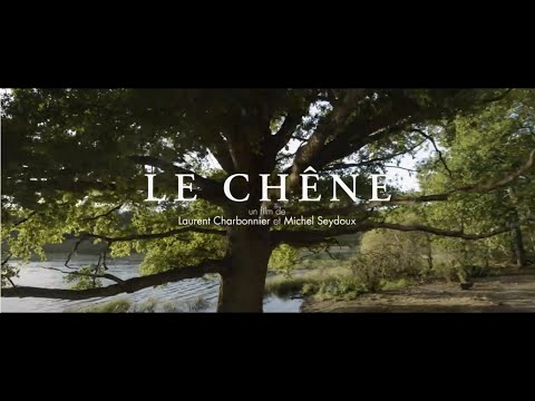 Le Chêne